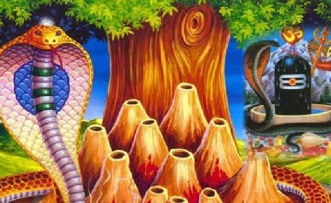 ఈ రోజే నాగుల చవితి. నాగపూజకు సరైన సమయం ఎదో తెలుసా?